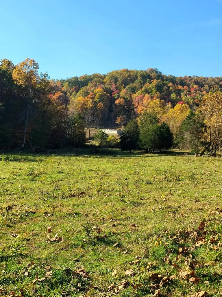 Parcel 1 & 2 Lazy Bee Lane Vanceburg KY 41179