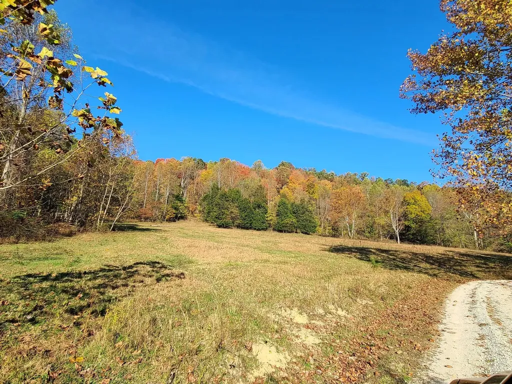 Parcel 1 & 2 Lazy Bee Lane Vanceburg KY 41179