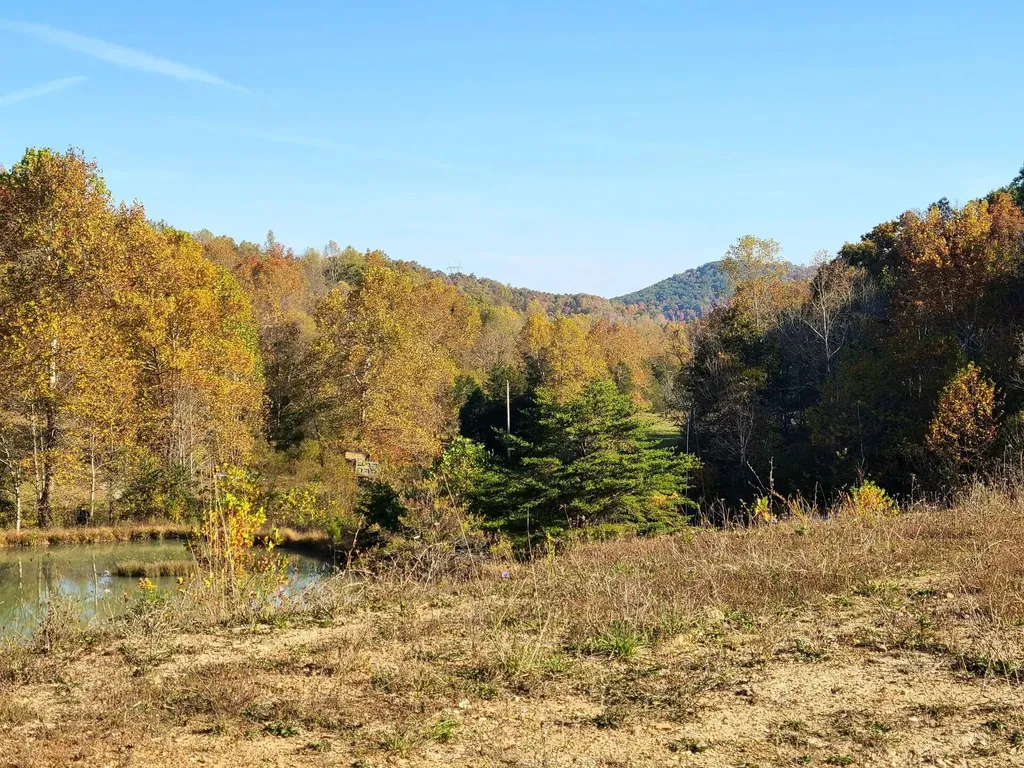 Parcel 1 & 2 Lazy Bee Lane Vanceburg KY 41179
