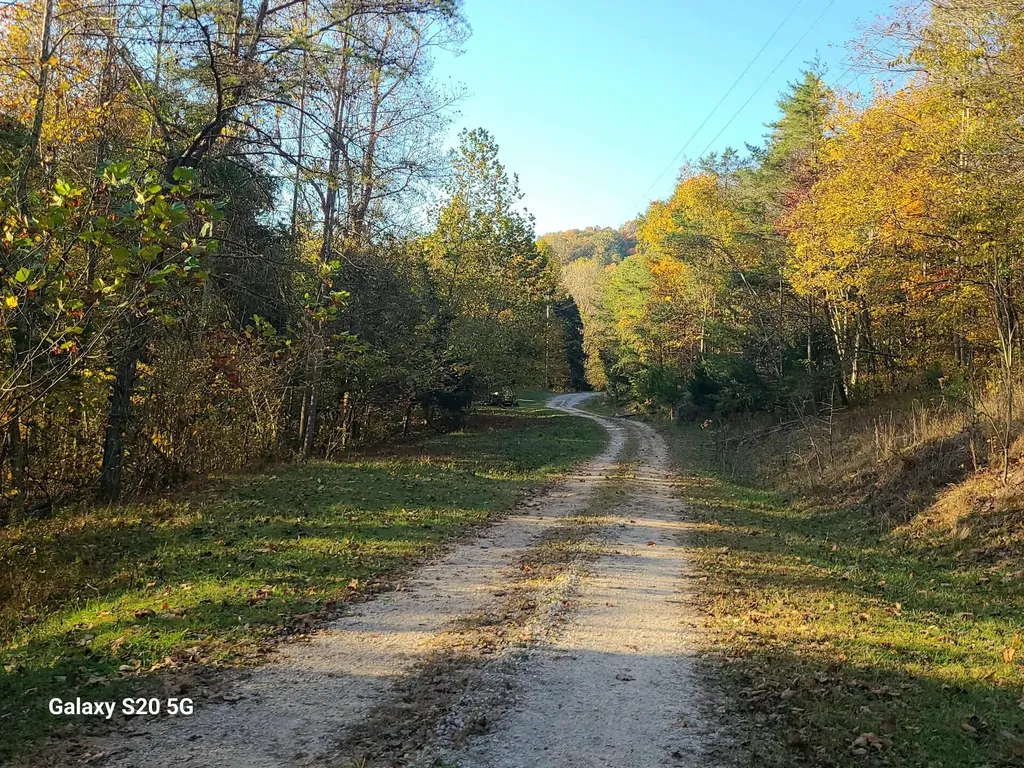 Parcel 1 & 2 Lazy Bee Lane Vanceburg KY 41179