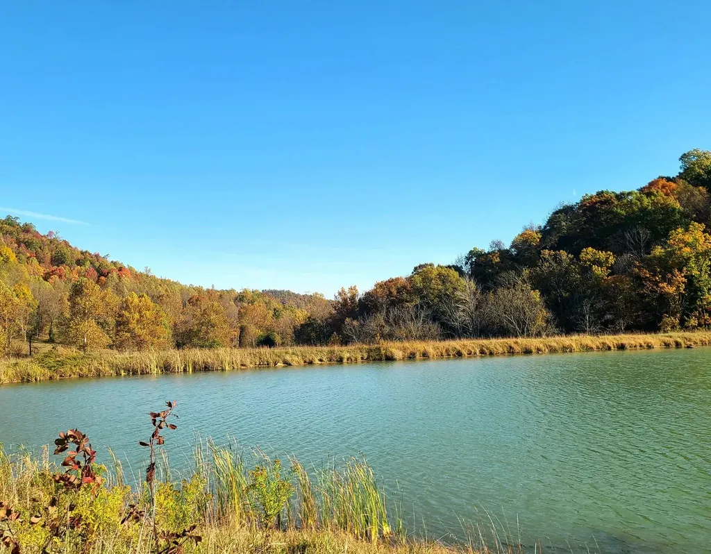 Parcel 1 & 2 Lazy Bee Lane Vanceburg KY 41179