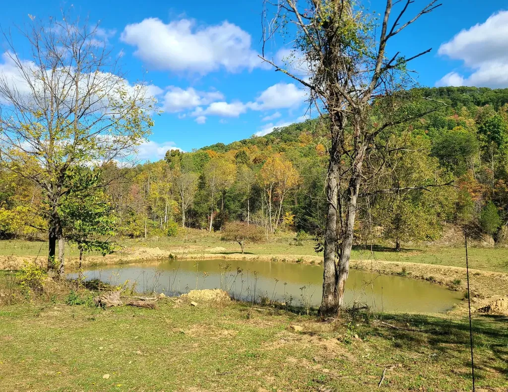 Parcel 1 & 2 Lazy Bee Lane Vanceburg KY 41179