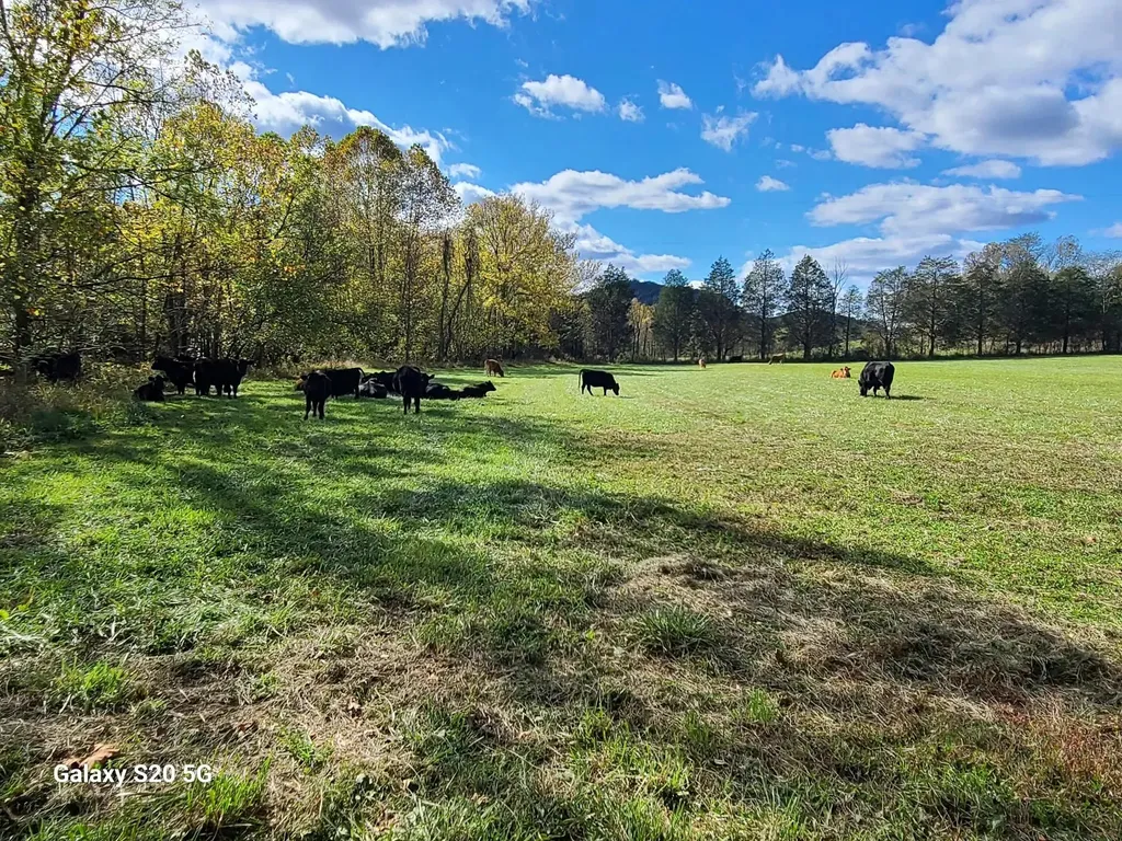 Parcel 1 & 2 Lazy Bee Lane Vanceburg KY 41179