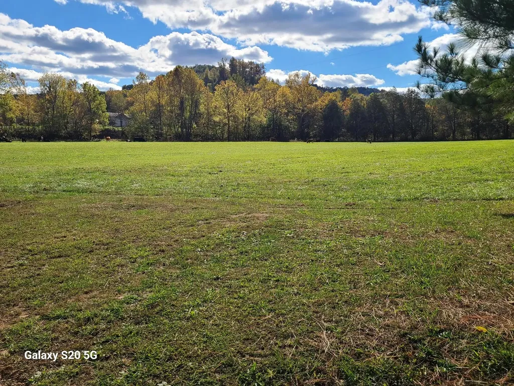 Parcel 1 & 2 Lazy Bee Lane Vanceburg KY 41179
