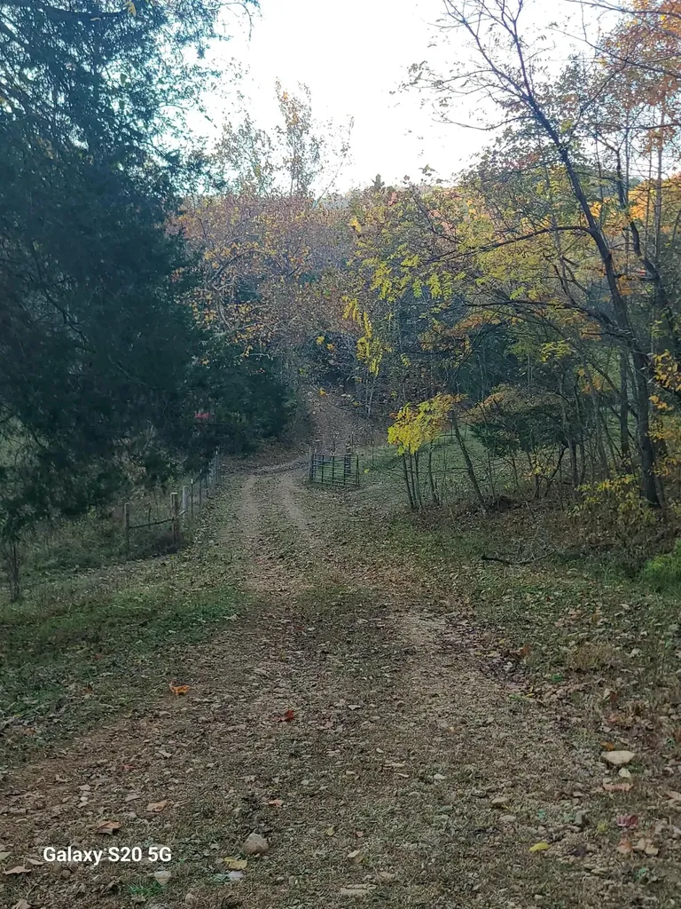 Parcel 1 & 2 Lazy Bee Lane Vanceburg KY 41179