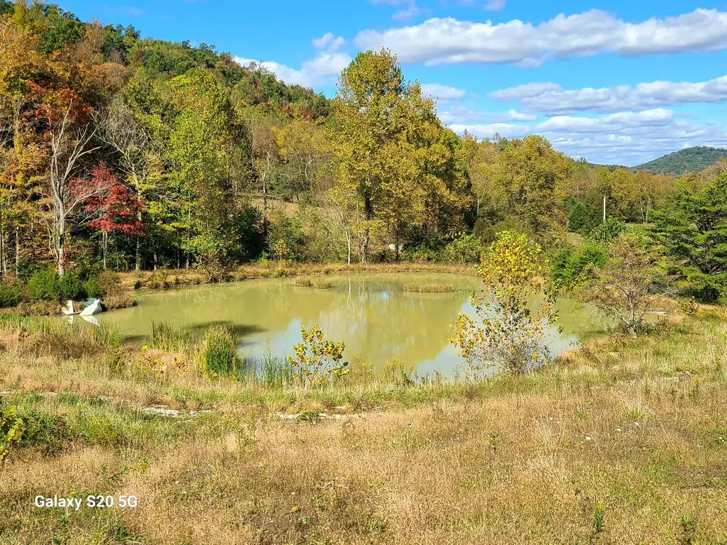 Parcel 1 & 2 Lazy Bee Lane Vanceburg KY 41179