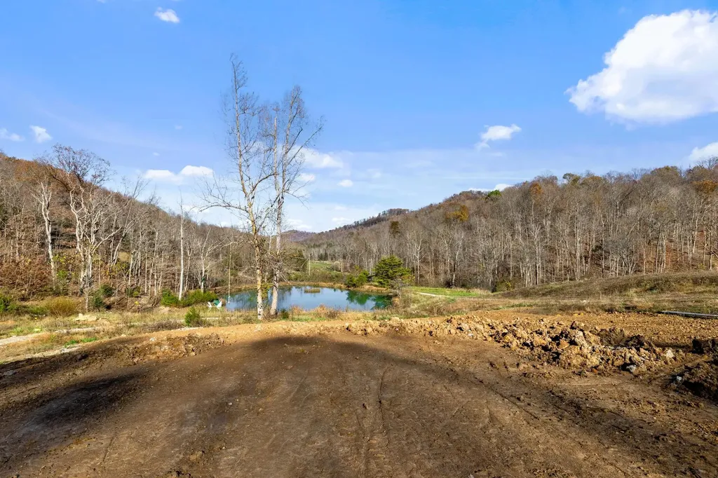 Parcel 1 & 2 Lazy Bee Lane Vanceburg KY 41179