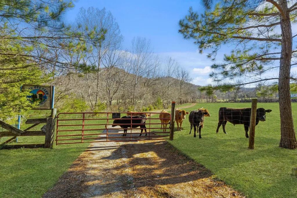 Parcel 1 & 2 Lazy Bee Lane Vanceburg KY 41179
