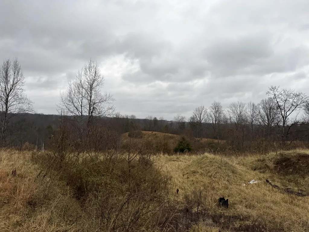 11590 Brown Ridge Road Morehead KY 40351