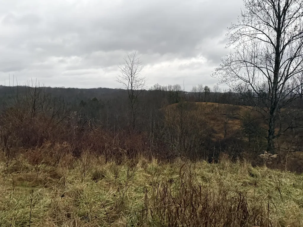 11590 Brown Ridge Road Morehead KY 40351