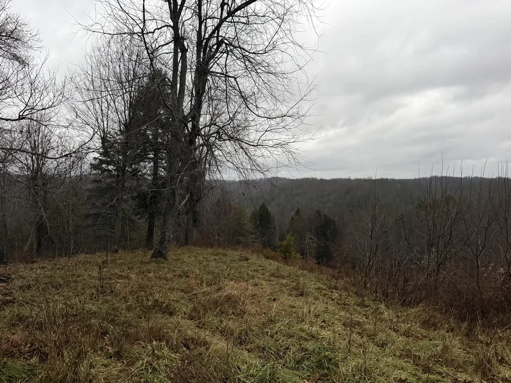 11590 Brown Ridge Road Morehead KY 40351