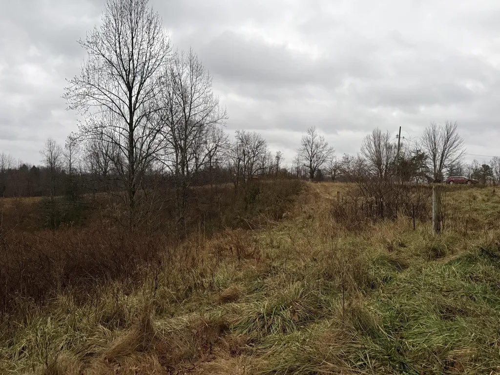 11590 Brown Ridge Road Morehead KY 40351