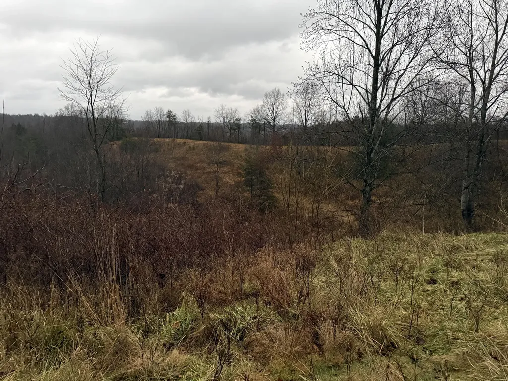 11590 Brown Ridge Road Morehead KY 40351