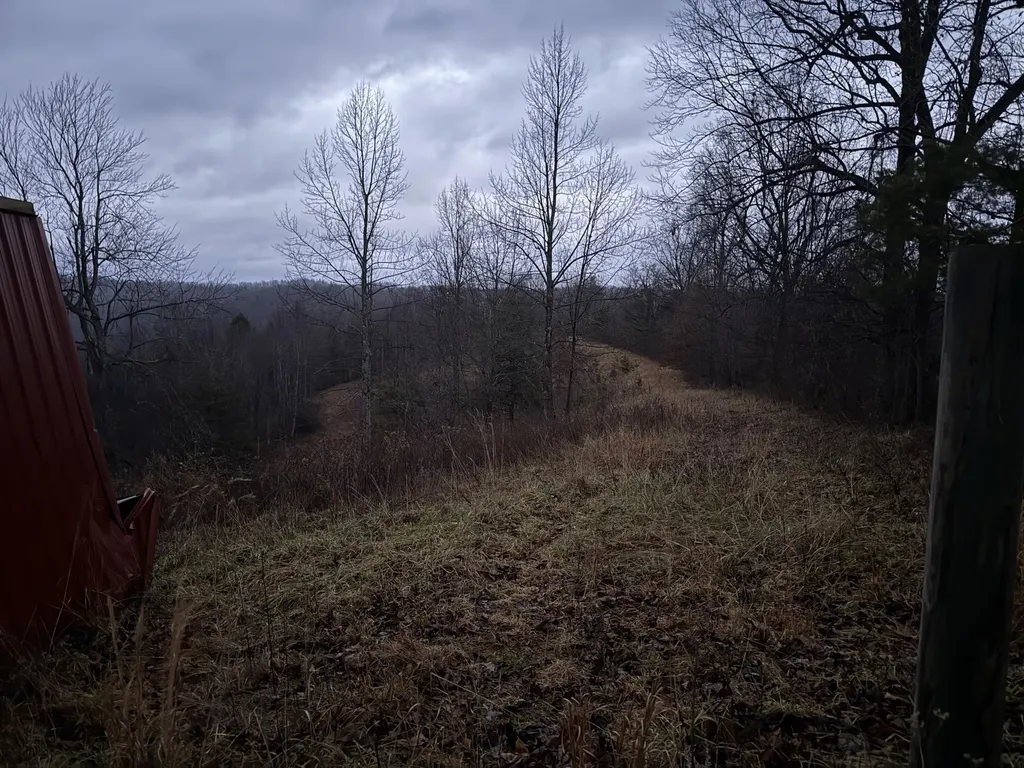 11590 Brown Ridge Road Morehead KY 40351