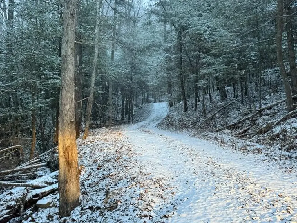 Lot 2 Cave Hollow Road Campton KY 41301