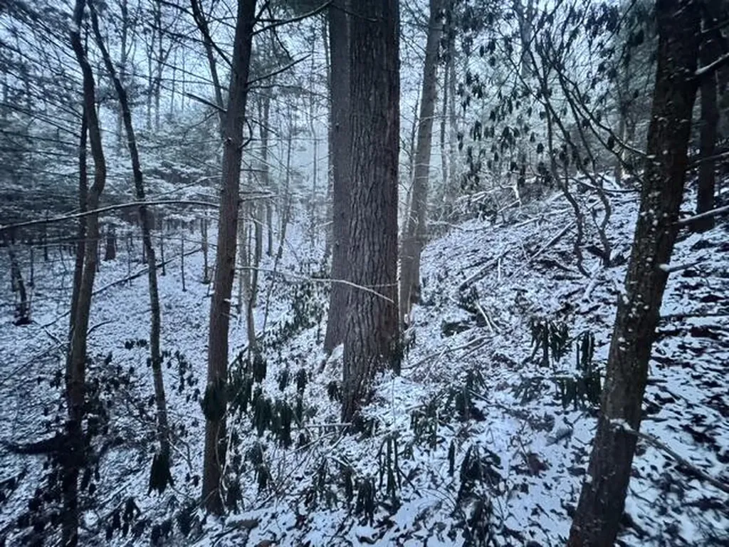Lot 2 Cave Hollow Road Campton KY 41301