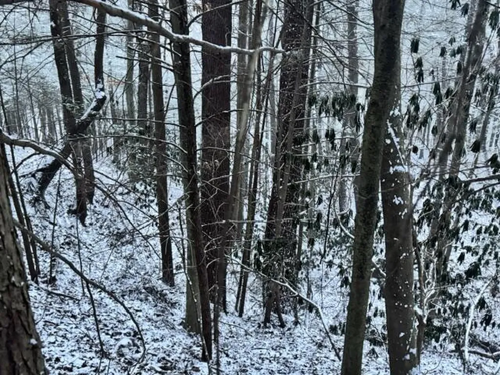 Lot 2 Cave Hollow Road Campton KY 41301