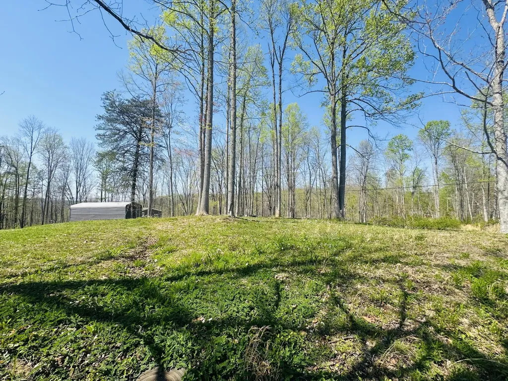 111 Sycamore Road London KY 40741