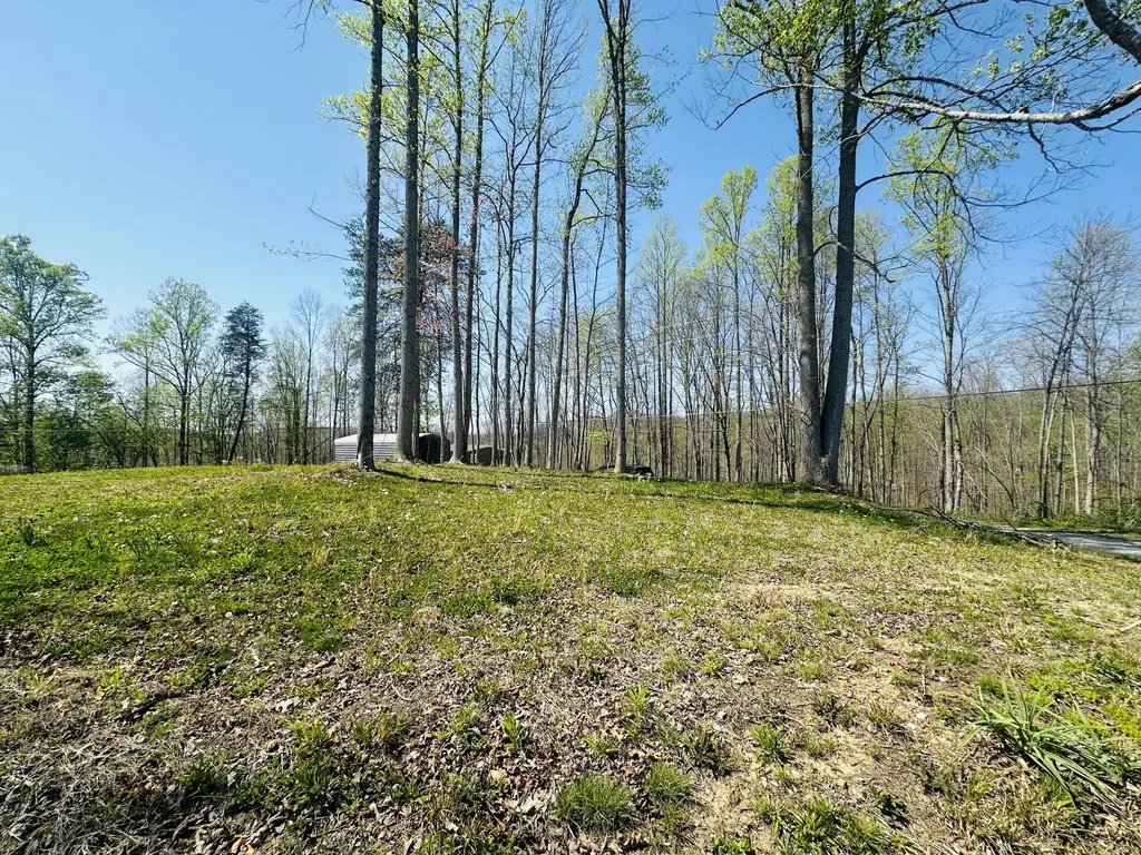 111 Sycamore Road London KY 40741