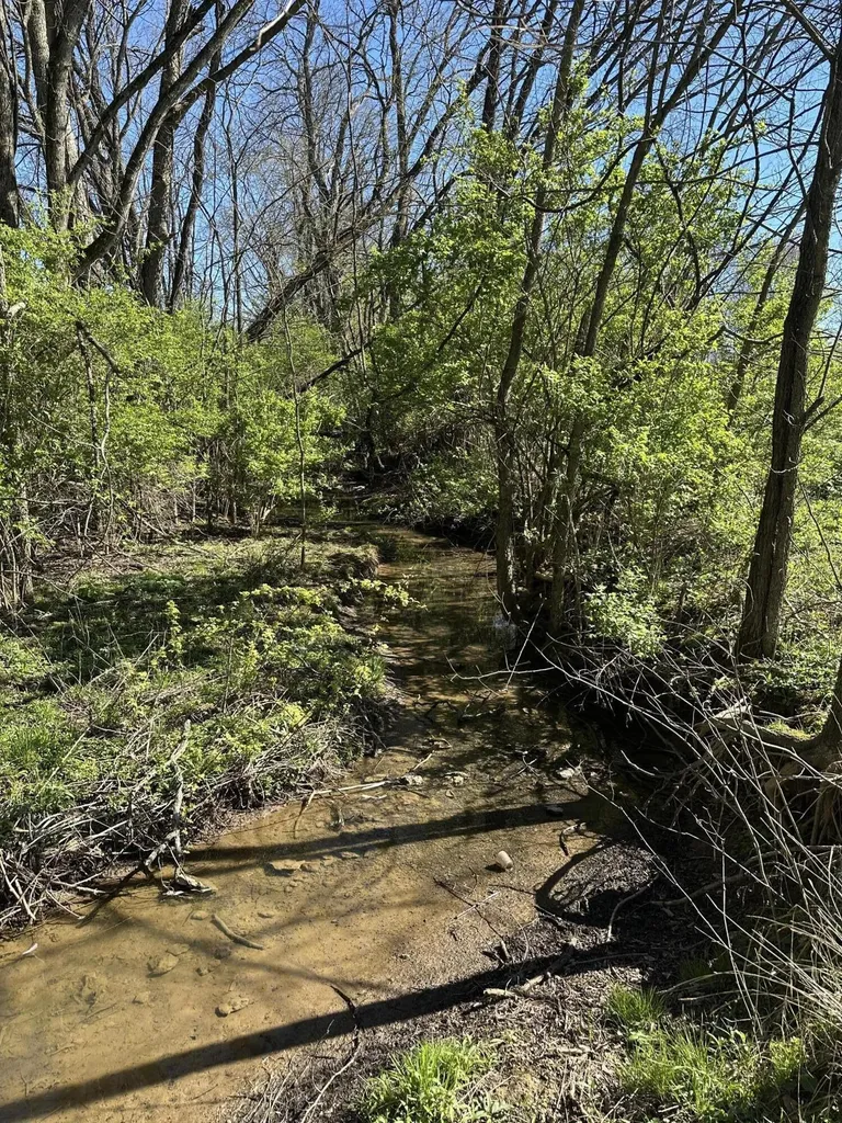 942 Hawkins - Cummins Road Paris KY 40361