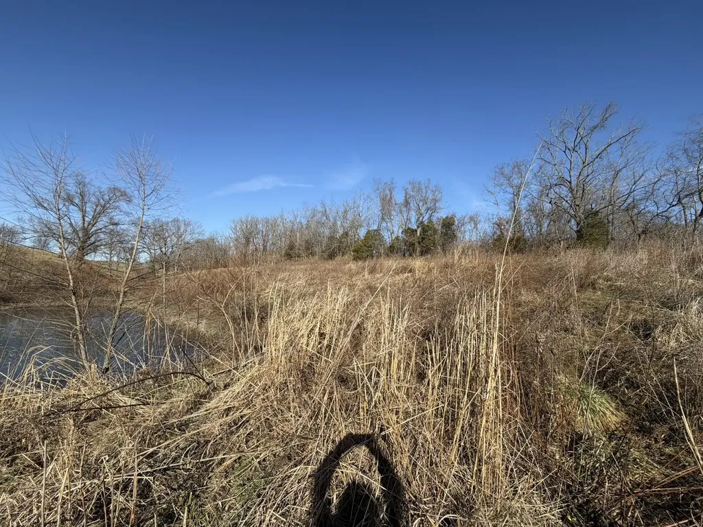 4983 Donaldson Road Mt Sterling KY 40353