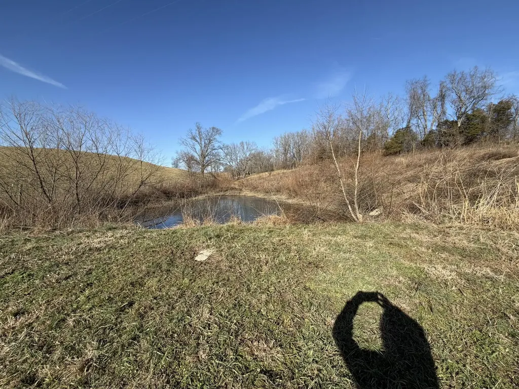 4983 Donaldson Road Mt Sterling KY 40353