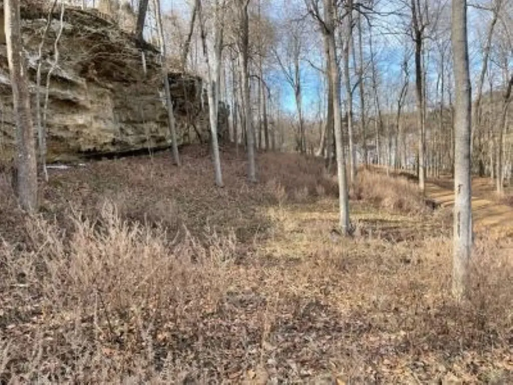 Lot 23 Stargazer Lane Falls Of Rough KY 40119