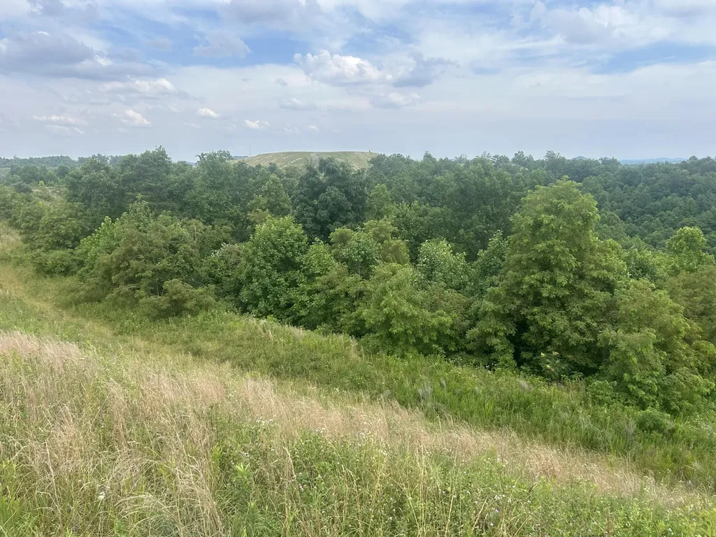 9999 Lewis Creek Road Hyden KY 40437
