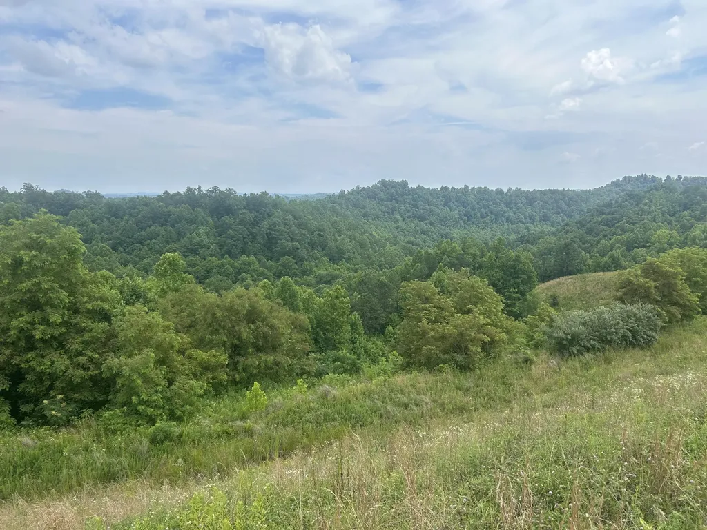 9999 Lewis Creek Road Hyden KY 40437