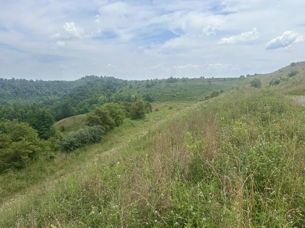9999 Lewis Creek Road Hyden KY 40437