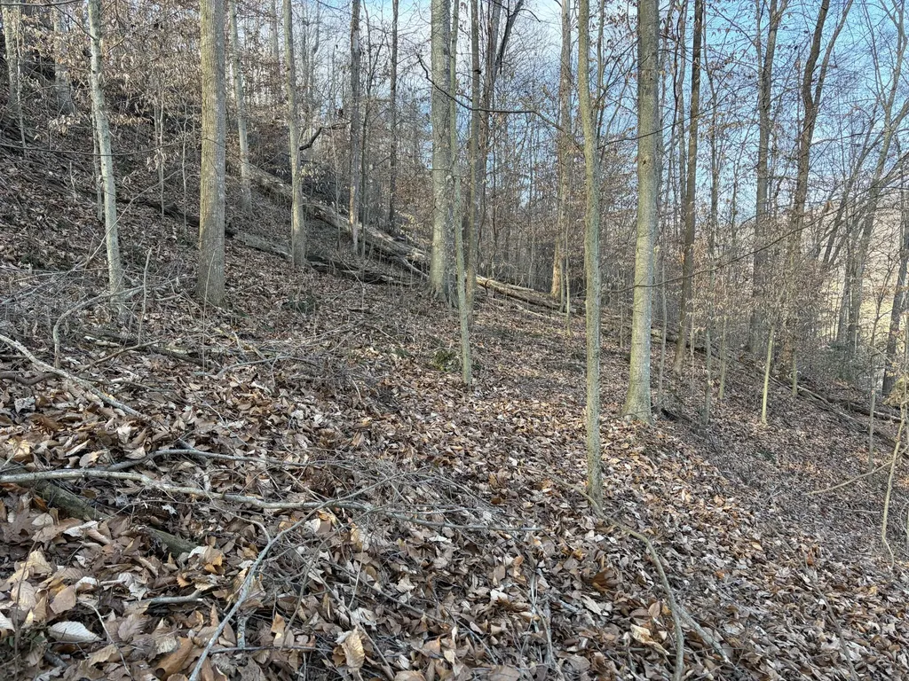 00 Campton Road Stanton KY 40380