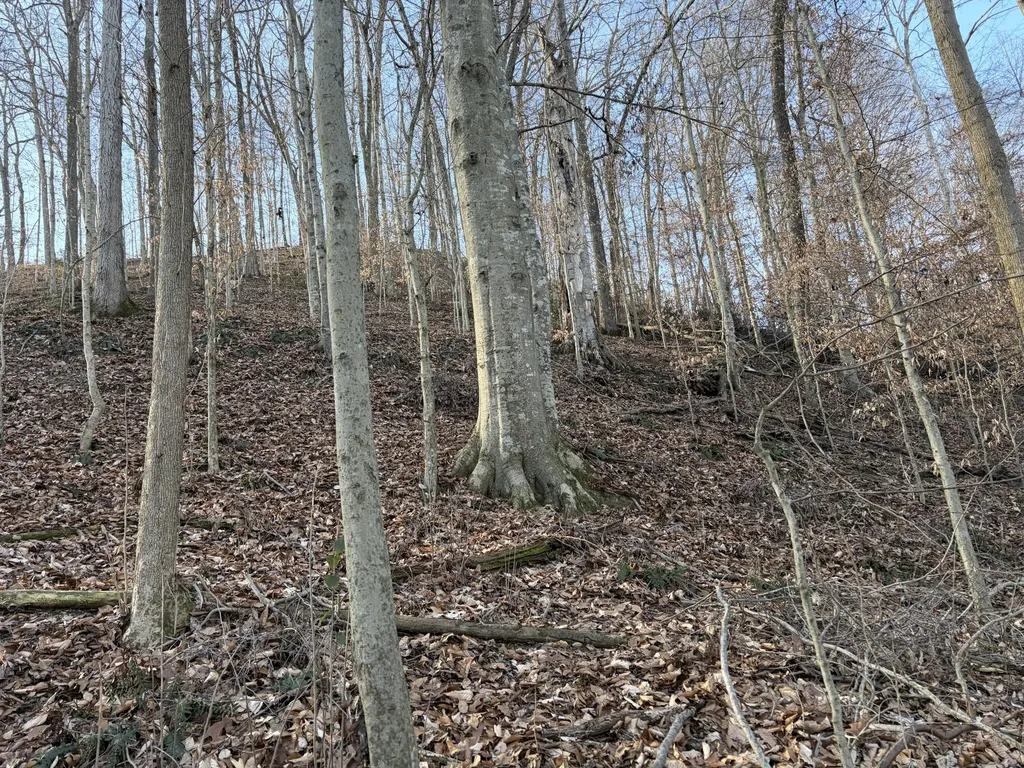 00 Campton Road Stanton KY 40380