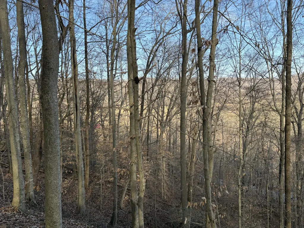 00 Campton Road Stanton KY 40380