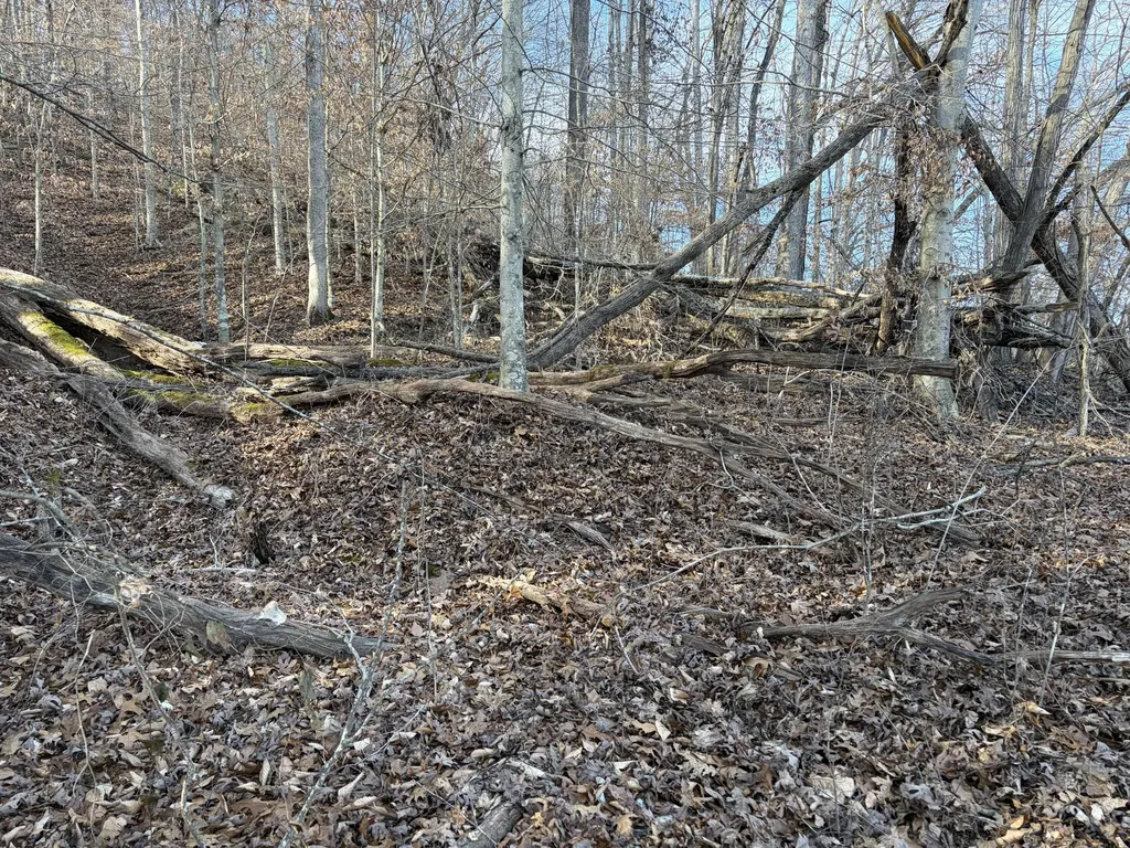 00 Campton Road Stanton KY 40380
