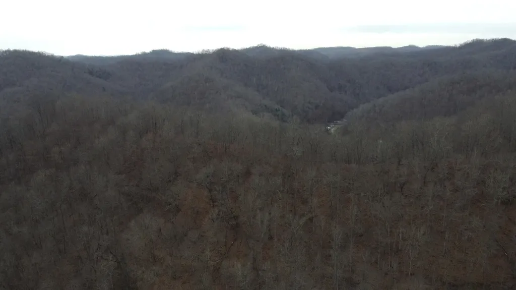 271 Blue Bird Lane Hyden KY 41749