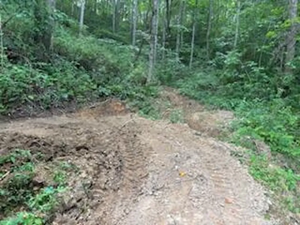 1085 Upper Boone Fork Road Vancleve KY 41385