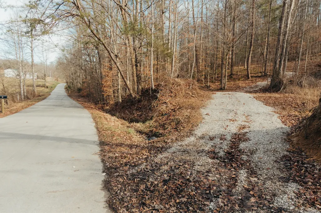 0 Tbd Whites Branch Road Wellington KY 40387