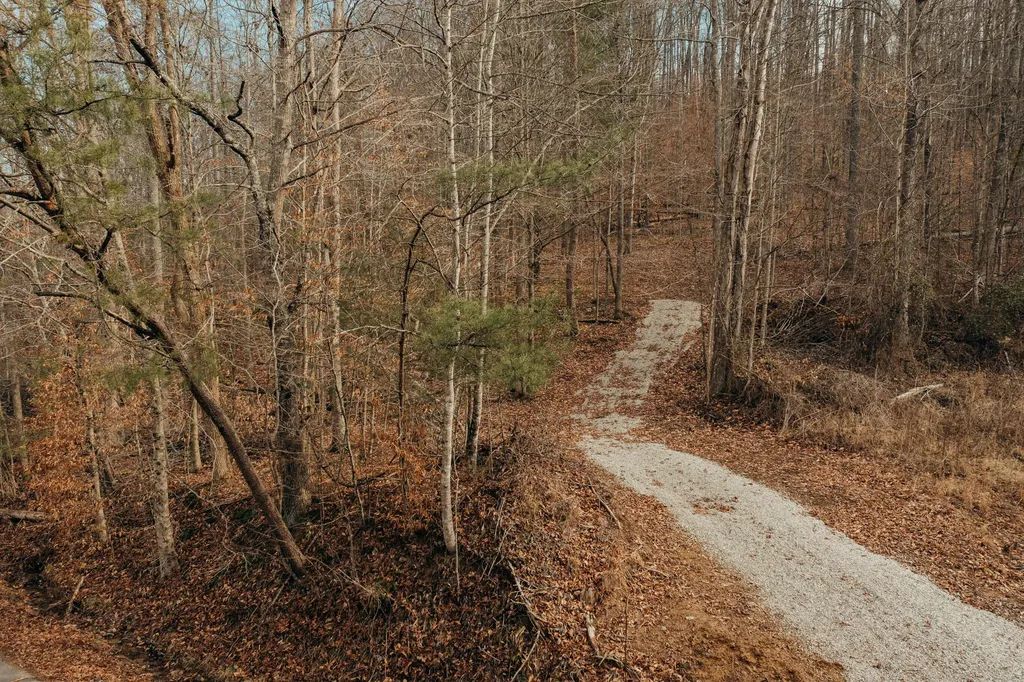 0 Tbd Whites Branch Road Wellington KY 40387