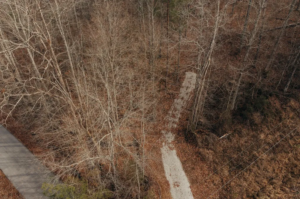 0 Tbd Whites Branch Road Wellington KY 40387