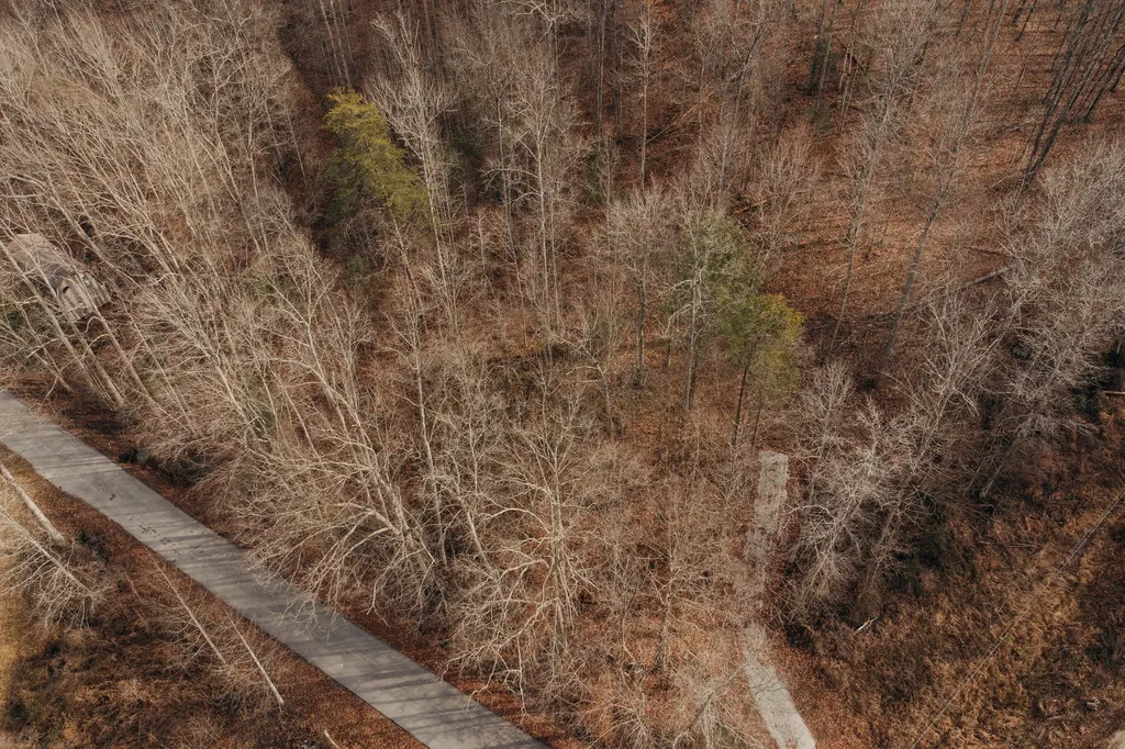 0 Tbd Whites Branch Road Wellington KY 40387