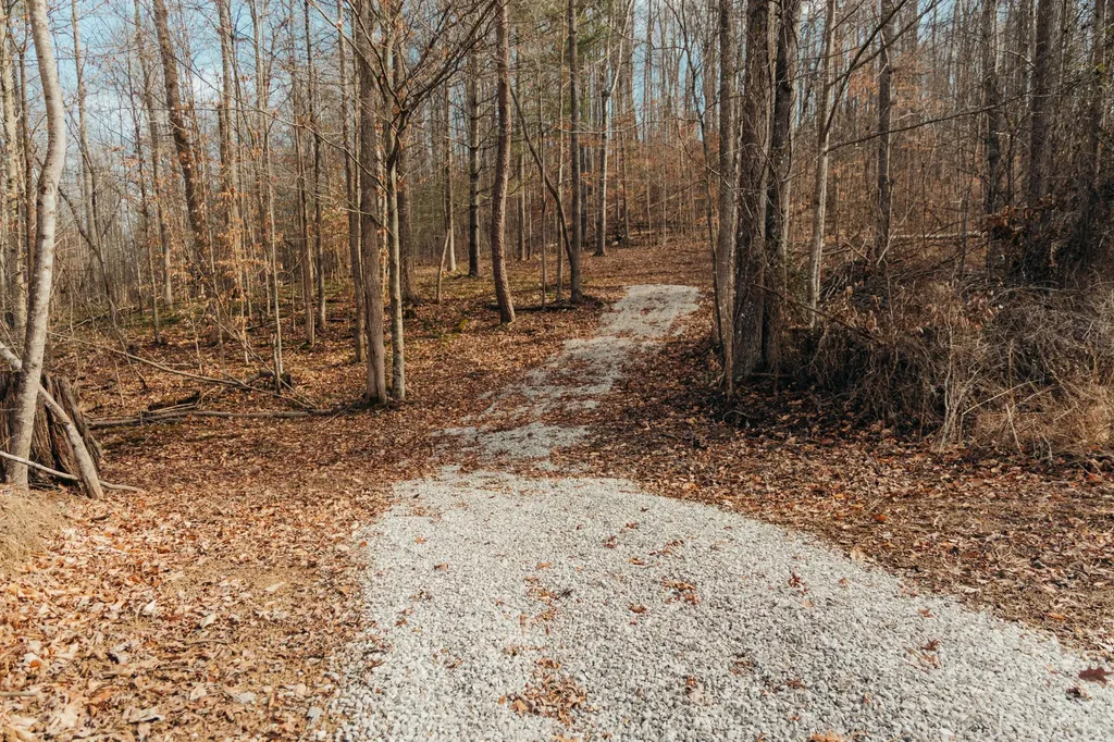 0 Tbd Whites Branch Road Wellington KY 40387
