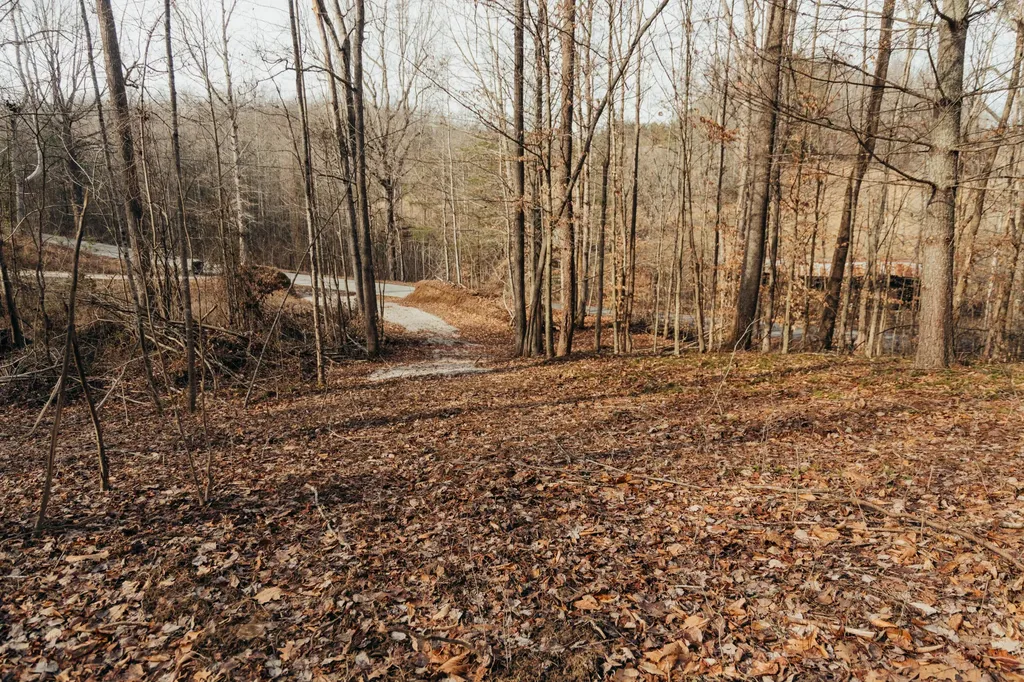0 Tbd Whites Branch Road Wellington KY 40387