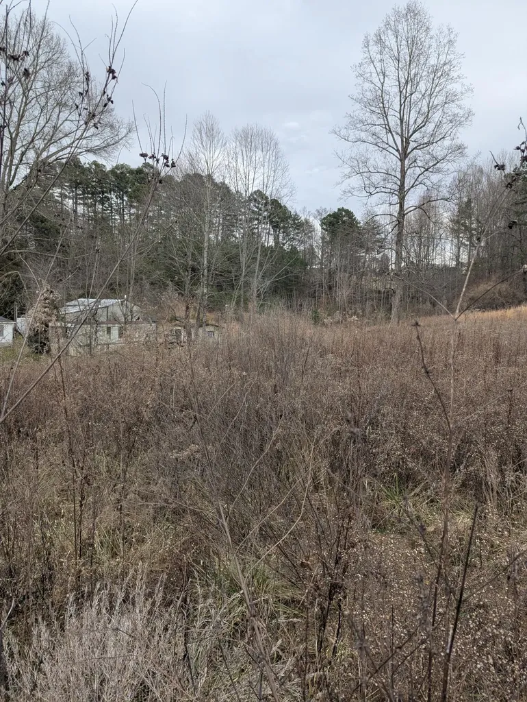 298 Lynn Acres Road Corbin KY 40701