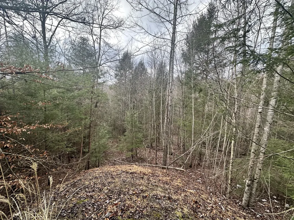 572 Paradise Drive Rogers KY 41365