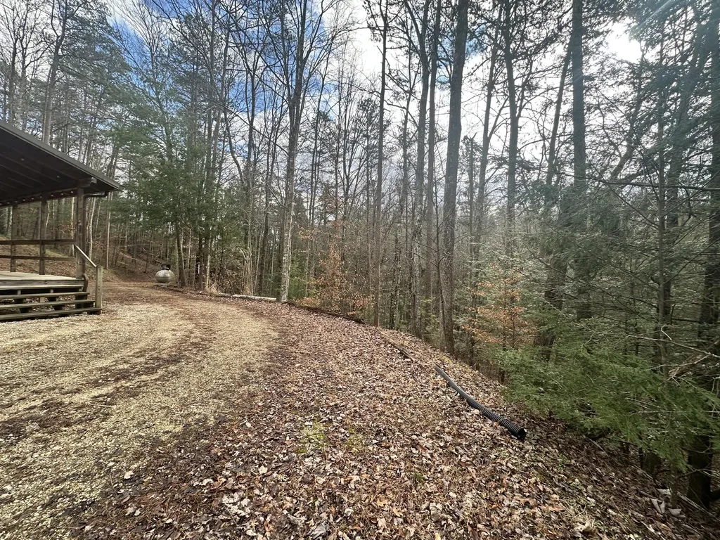 572 Paradise Drive Rogers KY 41365