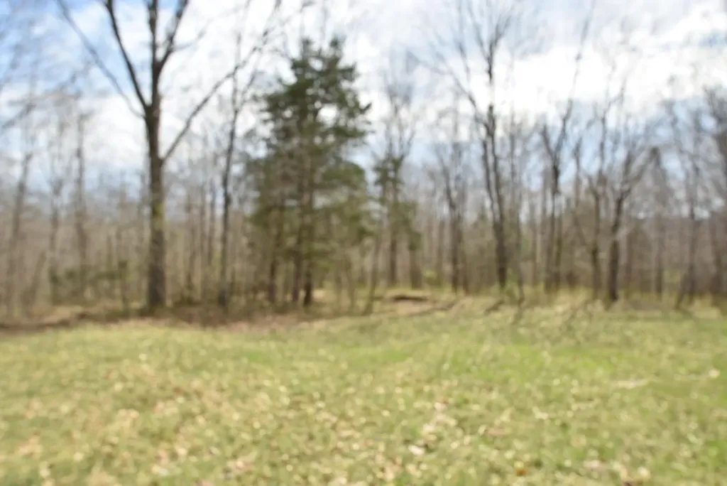 4555 Ky-433 Mackville KY 40040