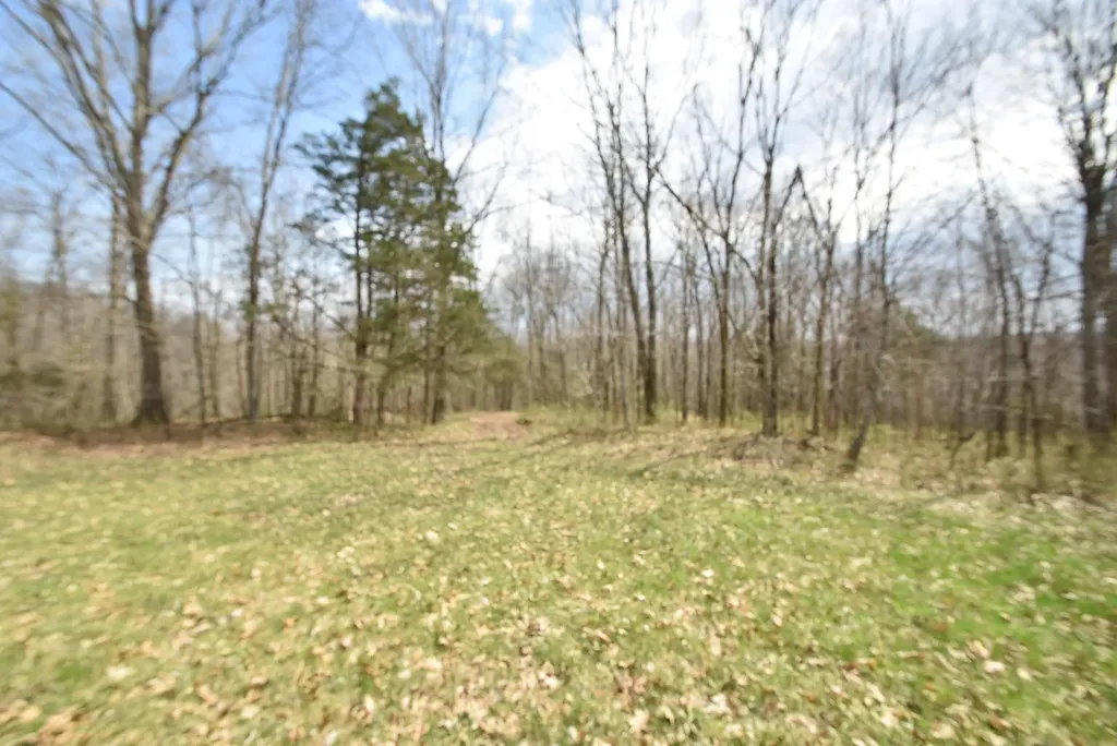 4555 Ky-433 Mackville KY 40040