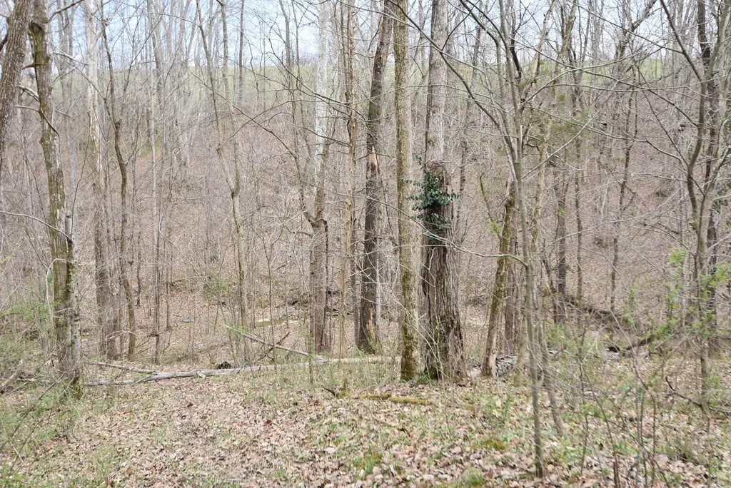 4555 Ky-433 Mackville KY 40040