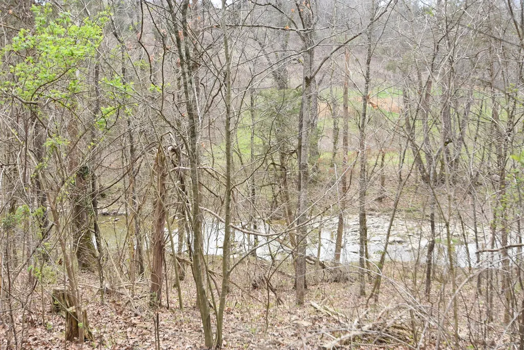 4555 Ky-433 Mackville KY 40040