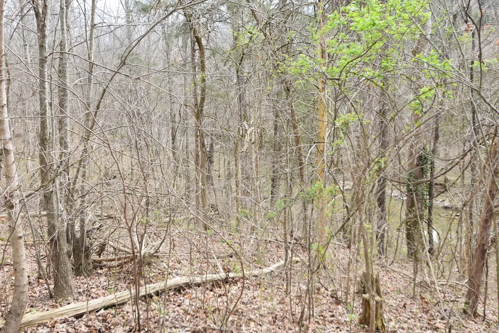 4555 Ky-433 Mackville KY 40040